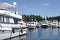 Boat marina on San Juan island