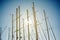 Boat masts against a clear blue sky.