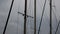 Boat masts close view