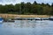 Boat moorings with boats, coastal reeds