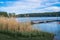 Boat moorings with boats, coastal reeds