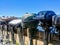 Boat motors lined up on a wooden dock