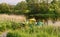 Boat mower for harvesting reeds