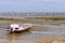 Boat and oyster bed of LÃ¨ge-Cap-Ferret