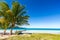 Boat by palm tree on one of the most beautiful tropical beaches in Caribbean, Playa Rincon