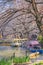 Boat pedalo and cherry blossoms in the Shinobazu pond of Ueno.
