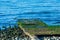 Boat Ramp on Whidbey Island Beach