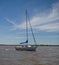 Boat on the River Plate Delta, Argentina