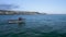 Boat on River Teign from a drone, Shaldon, Teignmouth, Devon, England