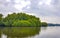 Boat safari through mangrove jungle Bentota Ganga River Bentota Beach Sri Lanka