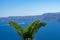 Boat sailing on santorini caldera. palm tree on the foreground