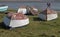 Boat scene, holy island, Northumberland