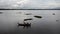 Boat service traveler tour around lake at U Bein Wooden longest Bridge