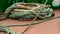 Boat Ship Bow Hull Rope Rigging