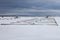 Boat slips are frozen in while the Lighthouse Point Marina in Collingwood