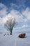 boat stand on snowy lake and have a blue sky with white clouds