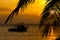 Boat at sunrise framed by coconut branches