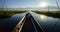 Boat to floating garden in Inle Lake, Myanmar