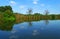 Boat trip in Danube Delta. Plants specific to the wetlands of Danube Delta