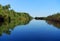 Boat trip in Danube Delta. Plants specific to the wetlands of Danube Delta