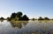 Boat trip through the Okavango Delta swamps in the Kalahari-desert