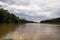 Boat trips along the overgrown jungle of the kinabatangan river, Sabah, Borneo. Malaysia.