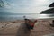 A boat was dock on the beachside, Dili Timor Leste