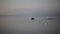 Boat with water skier driving by a pier during sunrise