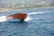 The boat on waves carries out turn at great speed