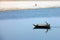 Boat on Yamuna River, India, Agra