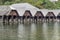 Boathouses to shelter the tourist tour boats