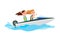 Boating Activity in Summer Vector Illustration