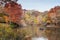 Boating in Central Park