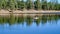 Boating and fishing at Woods Canyon Lake Arizona