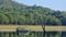 Boating at a scenic Lake in western ghats