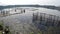 Boatman paddles bamboo raft across polluted lake fish pens