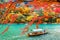 Boatman punting the boat at river. Arashiyama in autumn season along the river in Kyoto, Japan