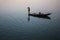 Boatmen on a boat glides through water on Ganges river along shore of Varanasi.