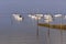 Boats at Andernos-les-bains in France