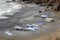 Boats on the beach