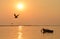 Boats birds at sunset