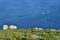 Boats on Cape Finisterre, in Galicia