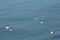 Boats on Cape Finisterre, in Galicia