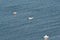 Boats on Cape Finisterre, in Galicia