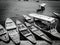 Boats in Dal Lake, Kashmir