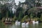 Boats on Dark Lake Gramado Brazil