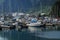 Boats Docked at Douglas Island