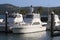 Boats docked in Whitsunday Island Marina