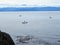 Boats fishing for salmon by trolling along the rocky shores near the kelp beds off of Sooke in the juan de fuca strait