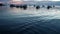 Boats floating on sea in port during sunset. Fishing and diving boats on surface of rippling ocean in harbor of Koh Tao